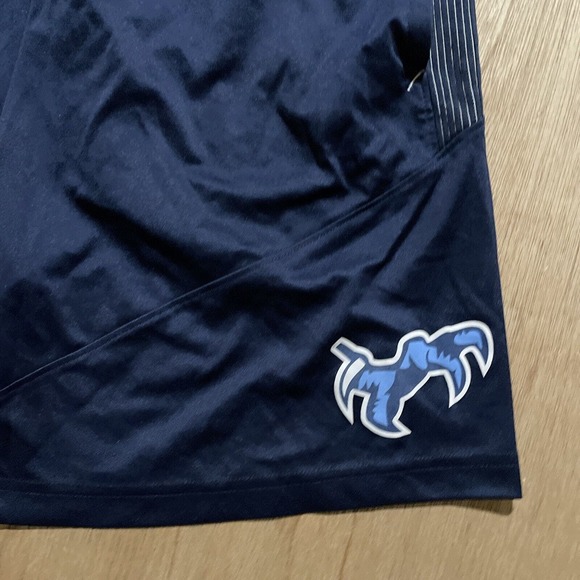 Nike Gym Shorts Dri Fit Athletic Performance Blue With Pockets Mens Size Small‎ - Picture 2 of 7